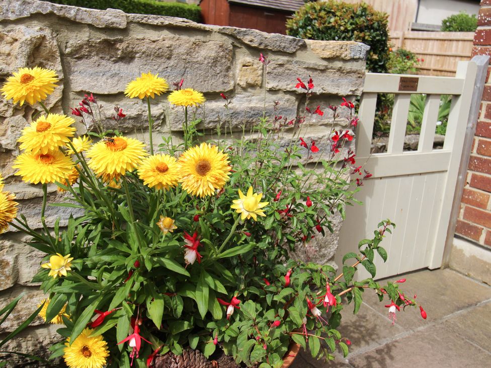 Yellow and red flowers in front of a stone wall and a white wooden gate at Forge Cottage in West Lulworth